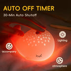 Starry Whale LED Night Light – Soft Glow USB Touch Lamp 🐋